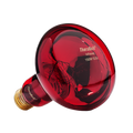 150W Near Infrared Heat Bulb 240V Europe, Asia, Africa & Oceania | TheraBulb