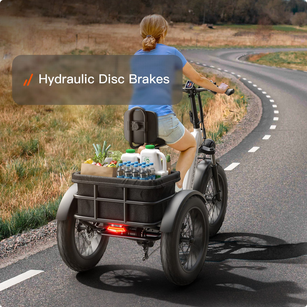 Husky Etrike