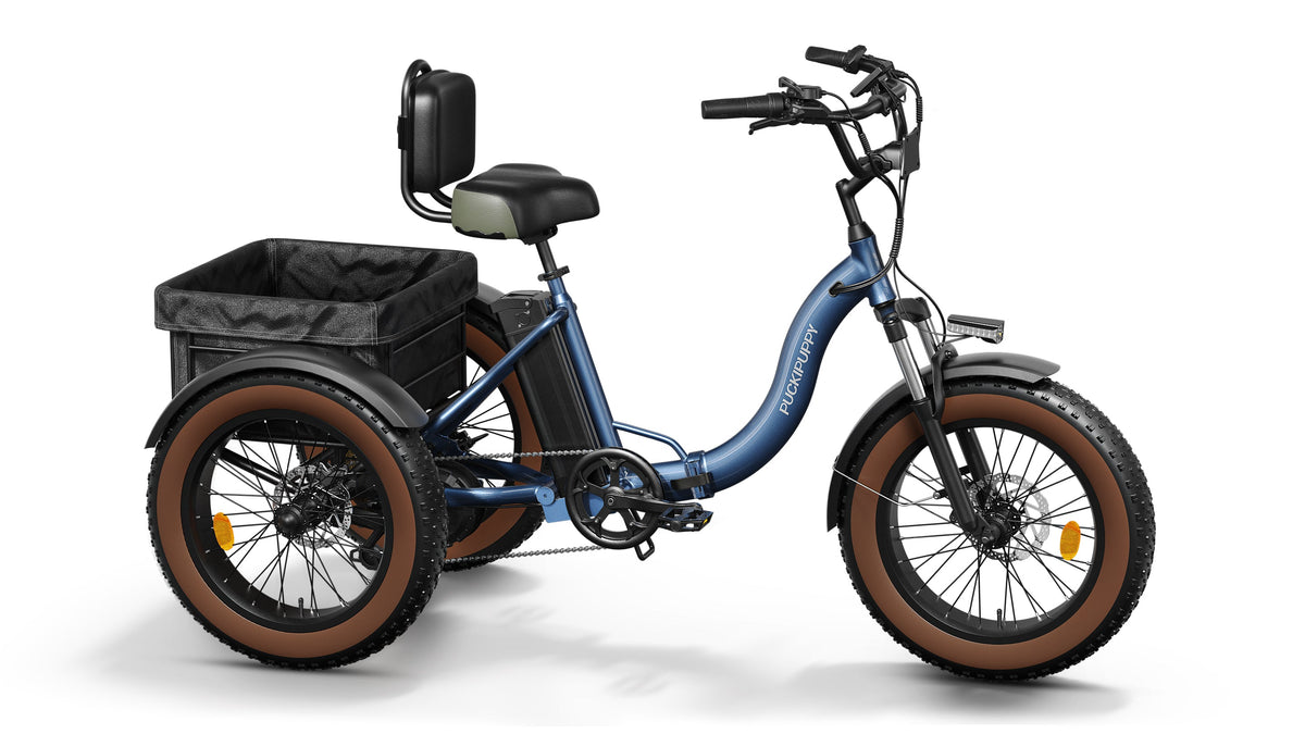 Alaskan Etrike