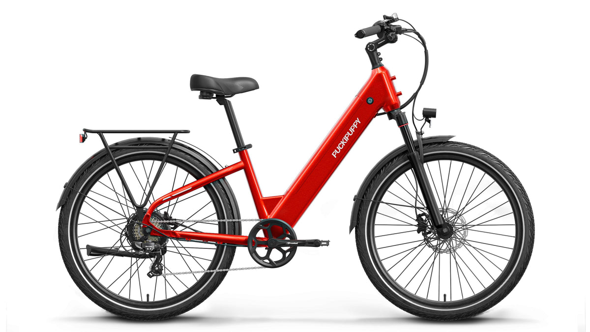 Poodle Ebike