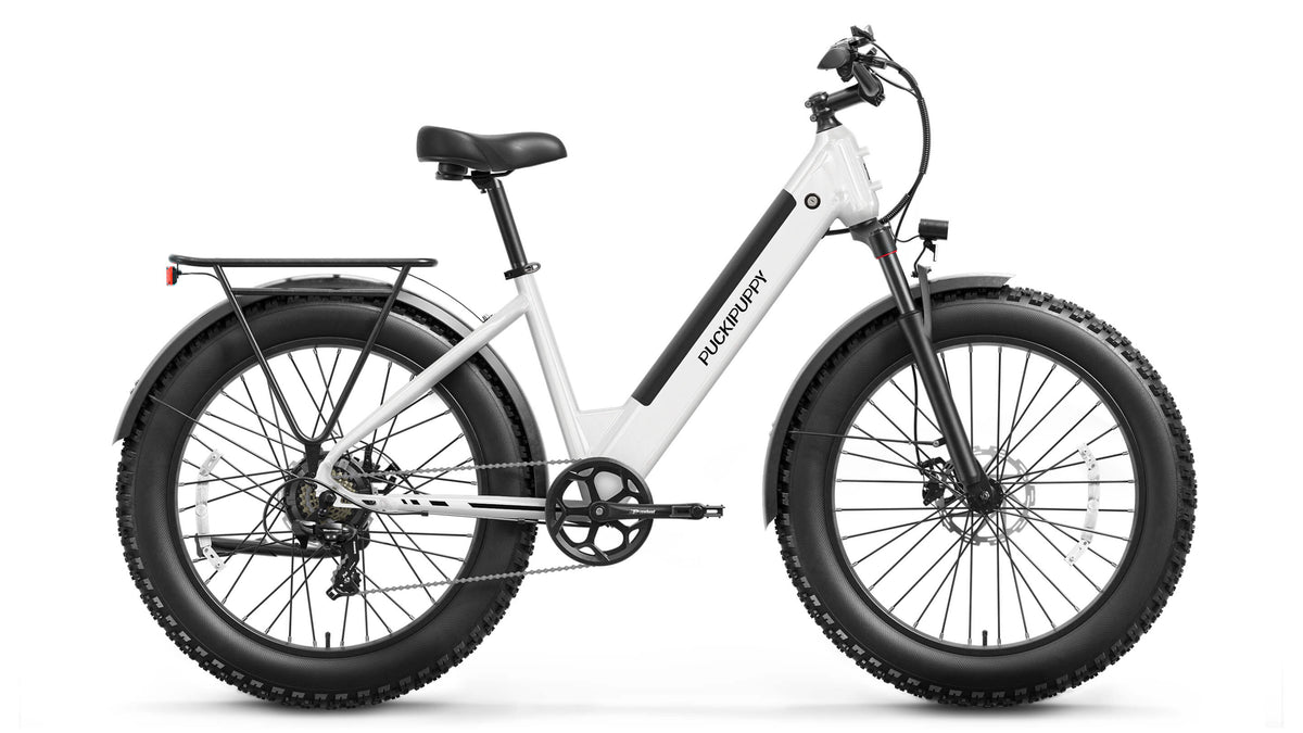Samoyed Ebike