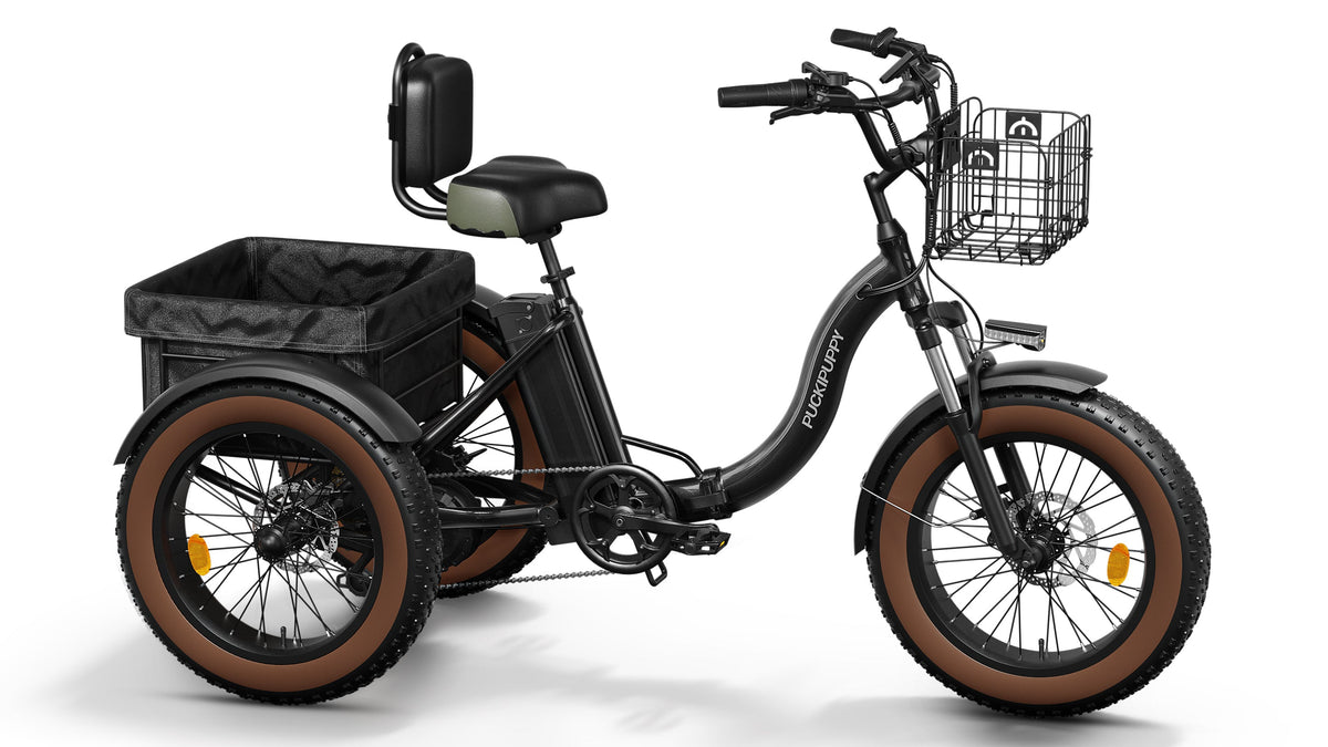 Alaskan Etrike