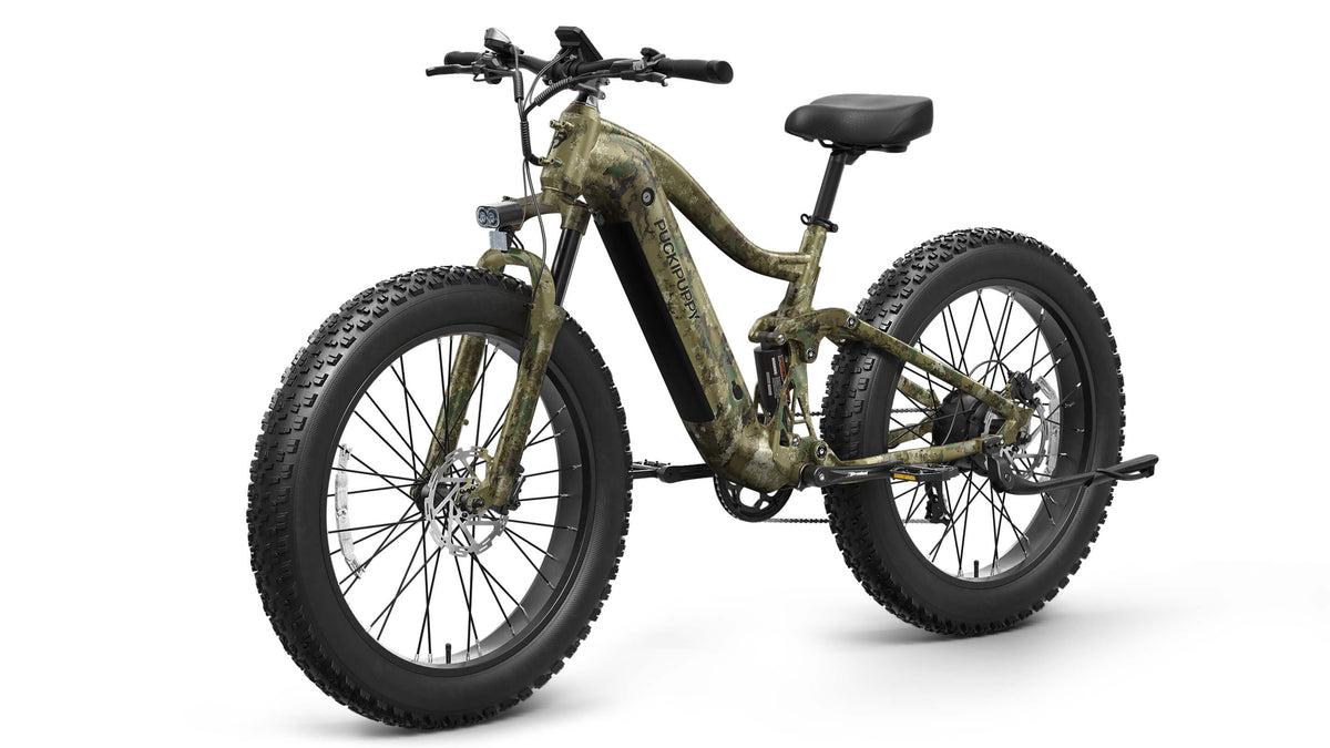 Boxer Ebike