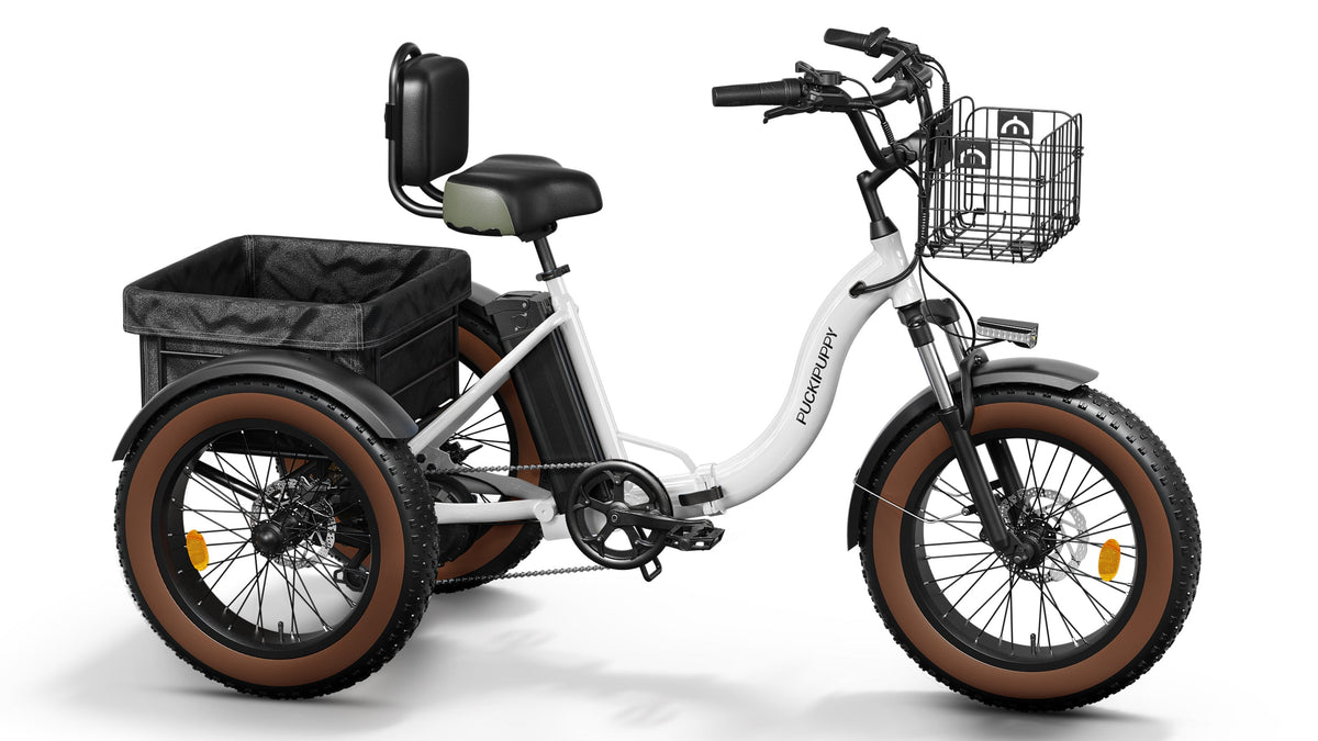 Alaskan Etrike