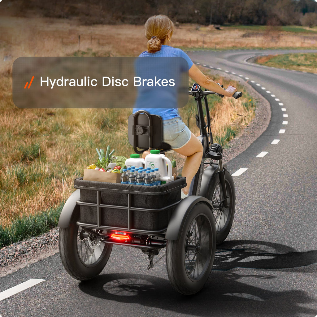 Husky Etrike