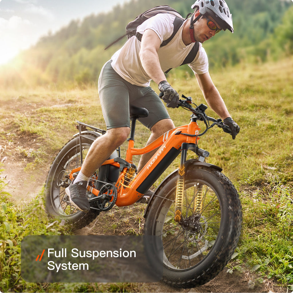 Boxer Ebike