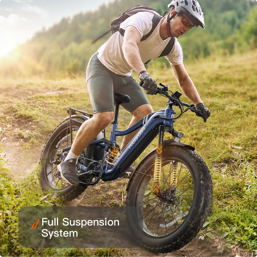 Boxer Ebike