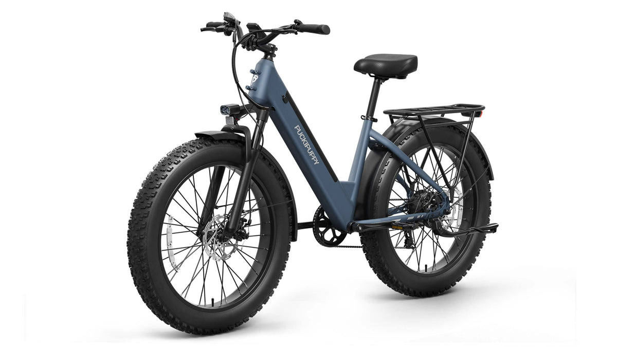Samoyed Ebike