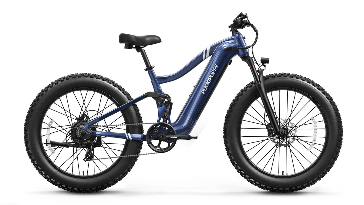 Boxer Ebike