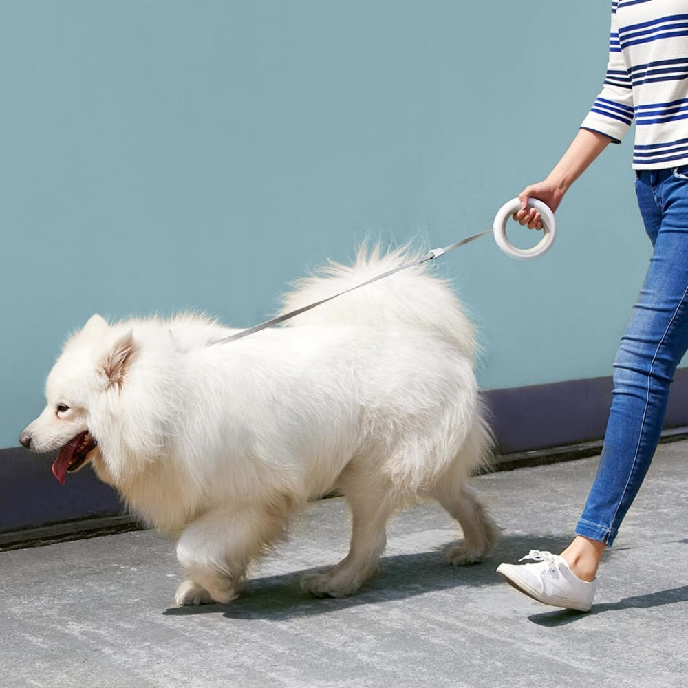 Smart Remote MOESTAR Retractable Dog Ring Led lighting Flexible Puppy Traction Leash 2.6M