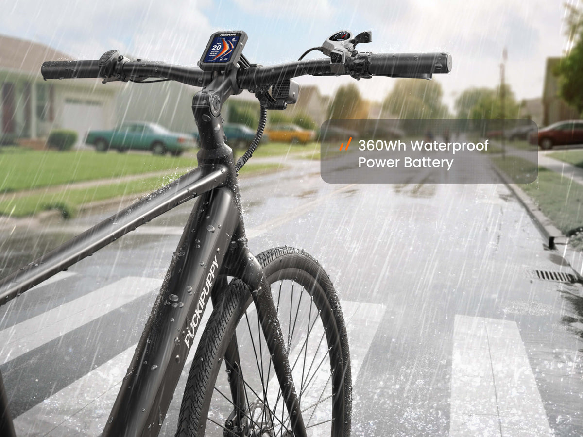 Doberman Ebike