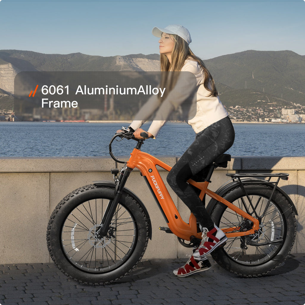 Beagle 2 Ebike