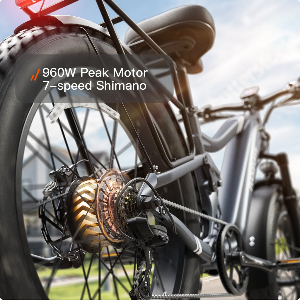 Boxer Ebike