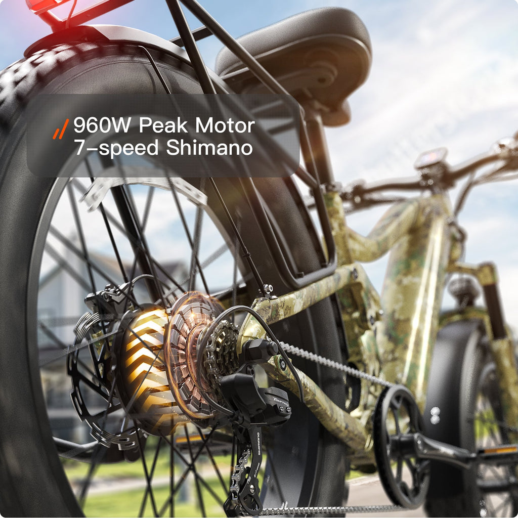 Boxer Ebike