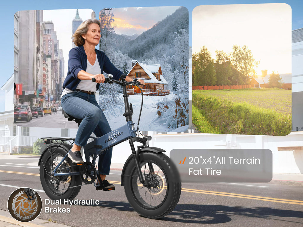 Dachshund Ebike