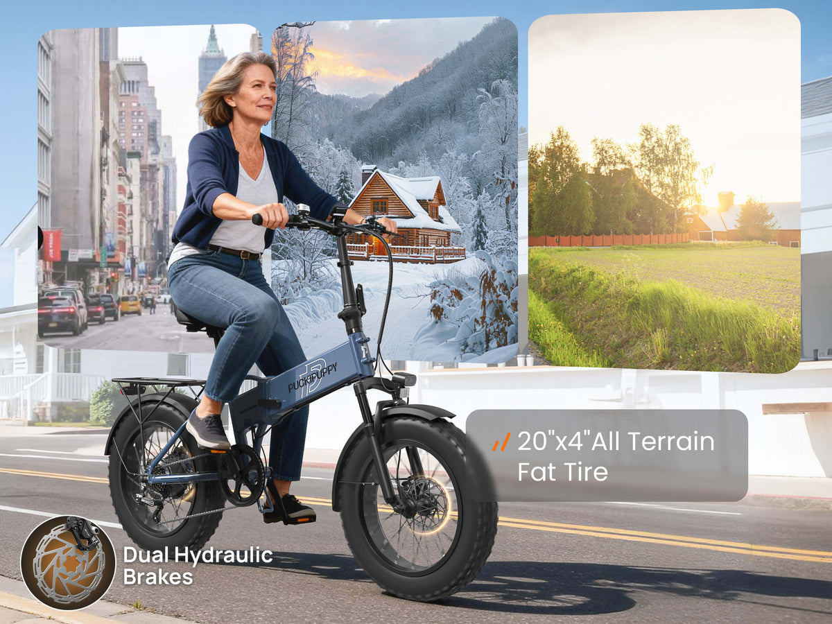 Dachshund Ebike