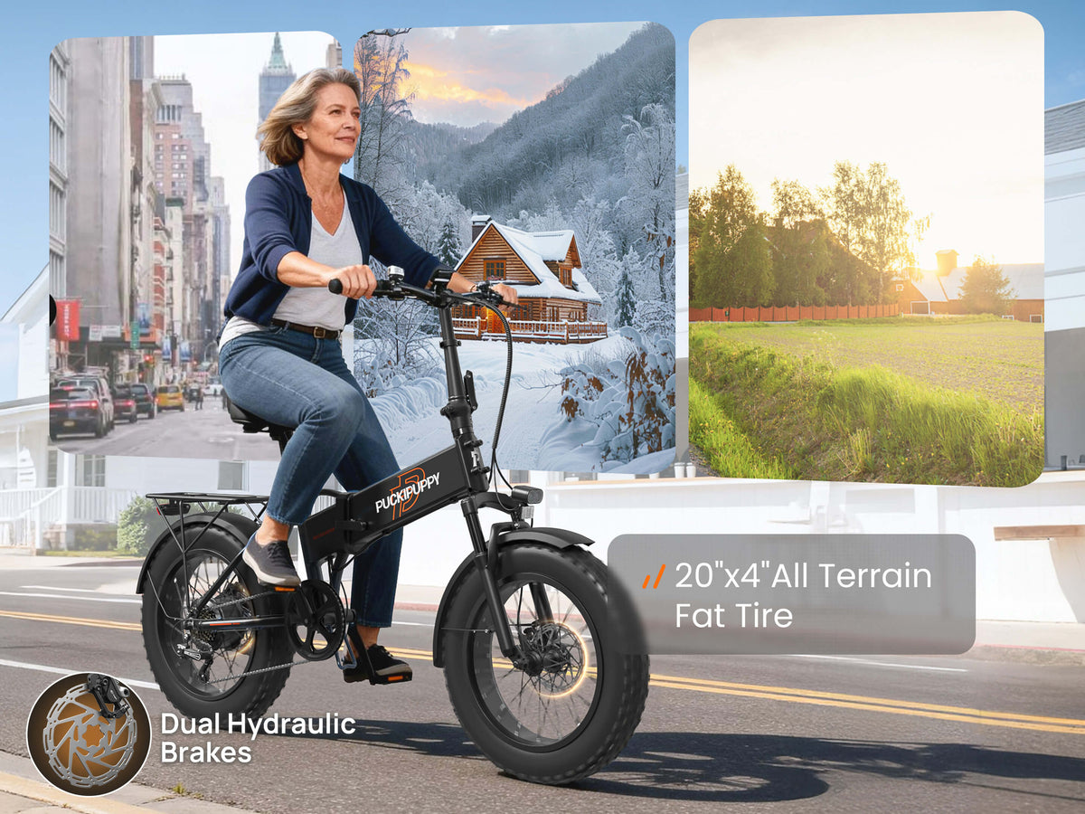 Dachshund Ebike
