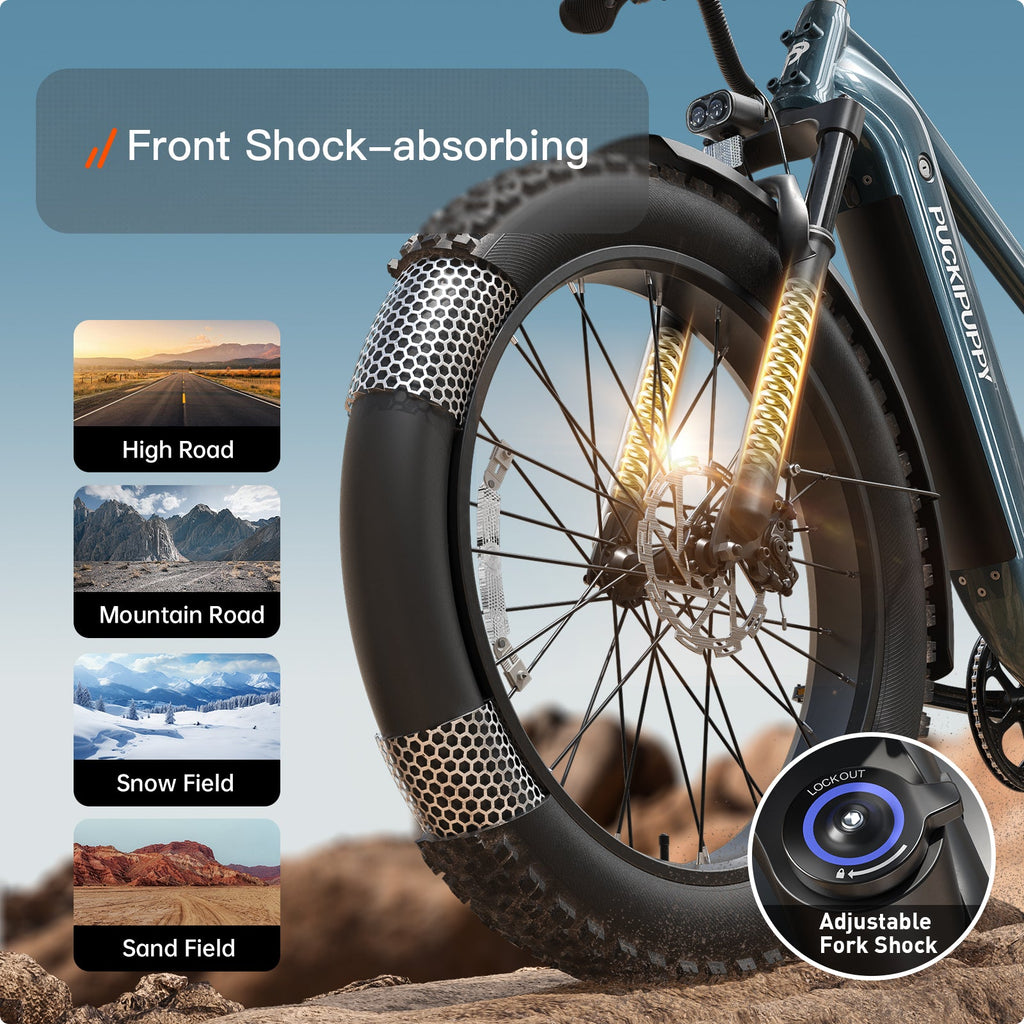 Beagle 2 Ebike