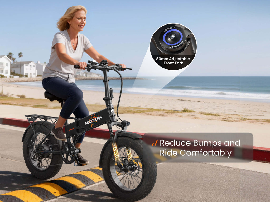 Dachshund Ebike