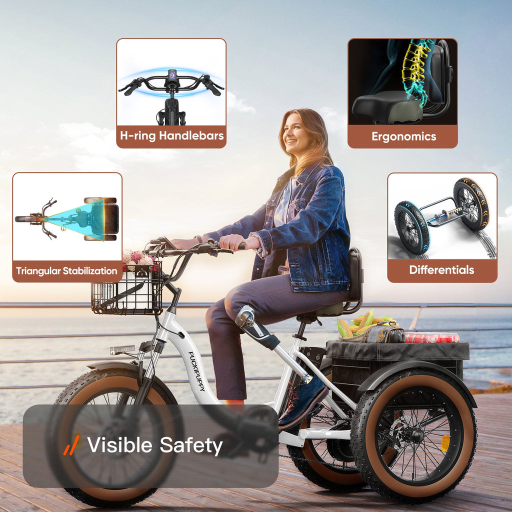 Alaskan Etrike