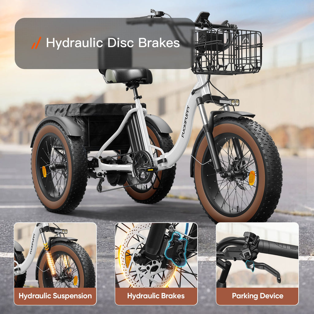 Alaskan Etrike