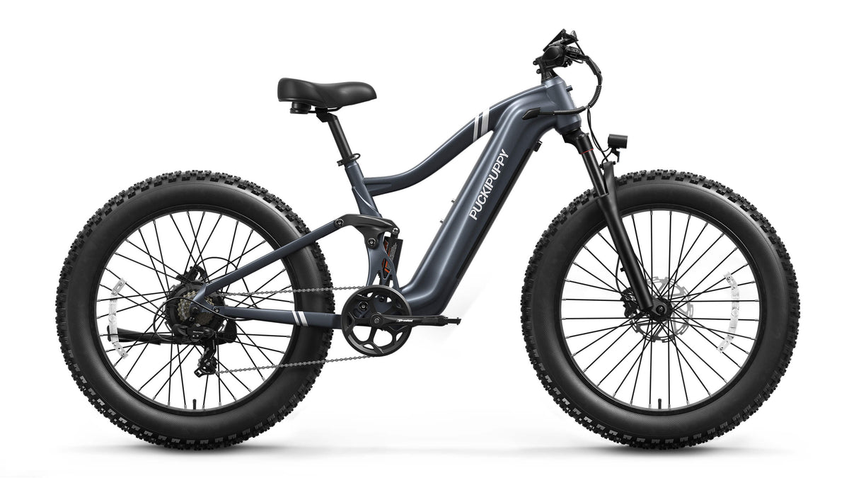 Boxer Ebike