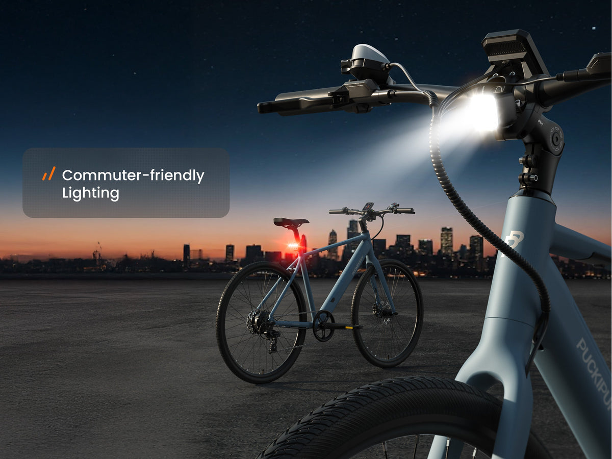 Doberman Ebike
