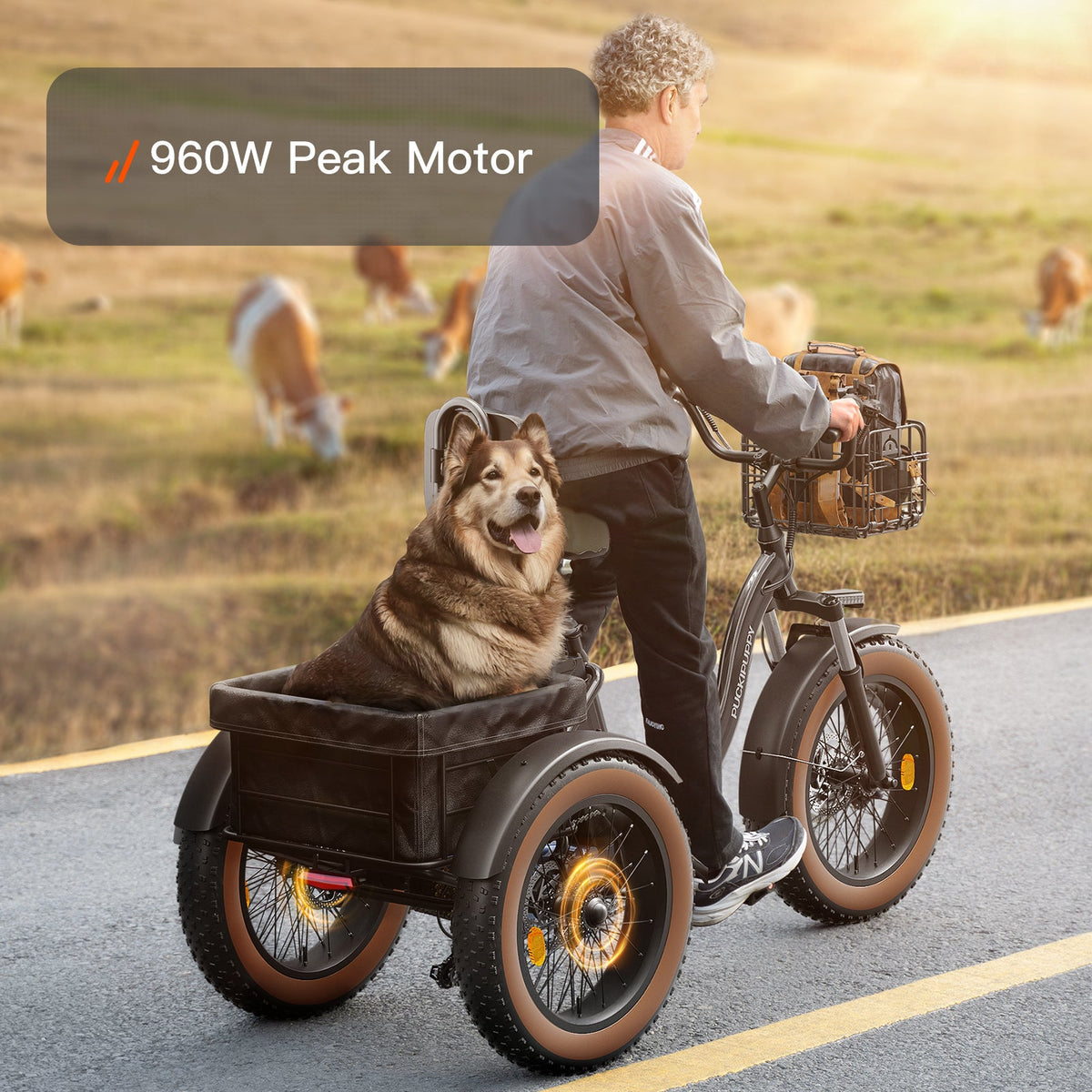 Alaskan Etrike