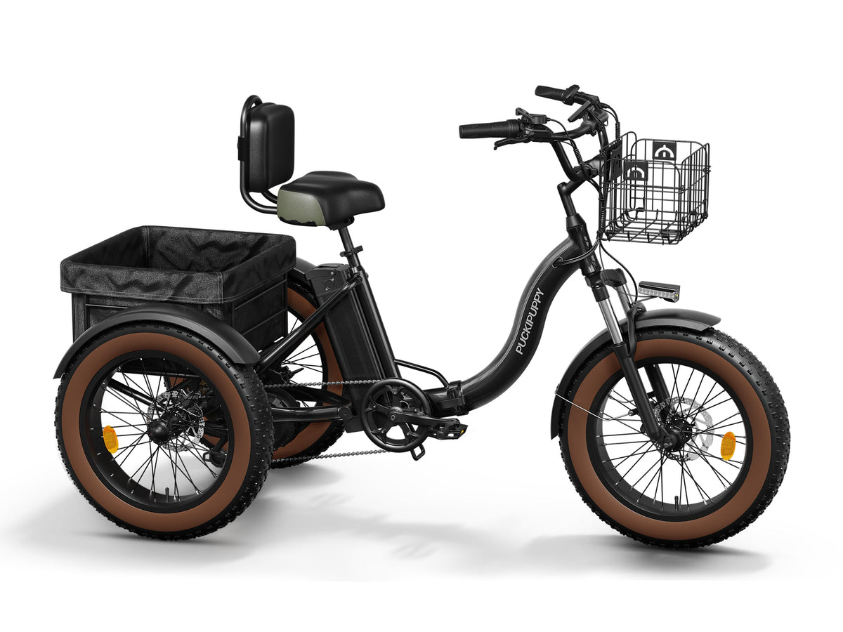 Alaskan Etrike