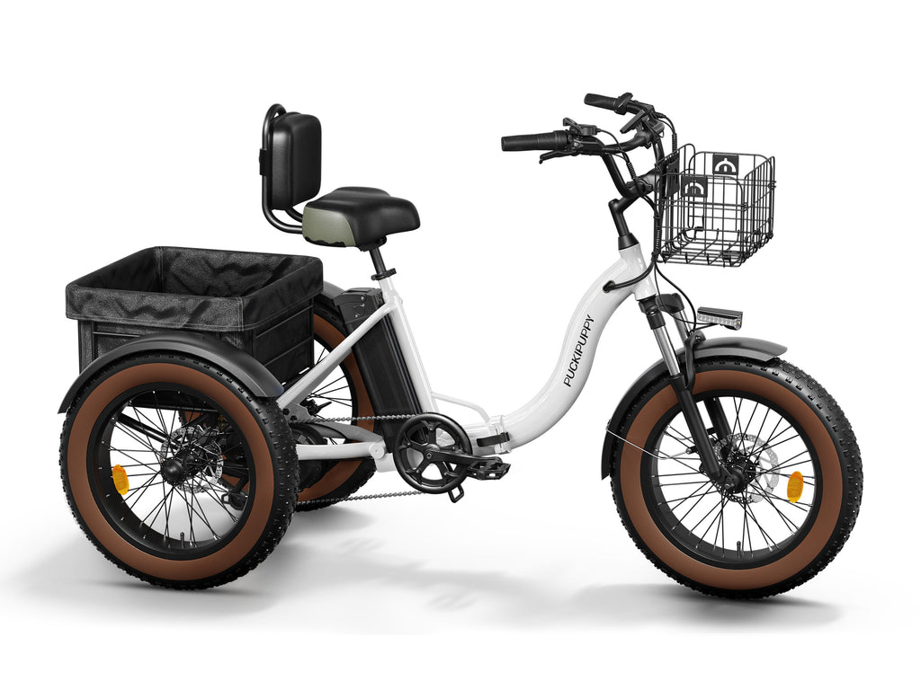 Alaskan Etrike