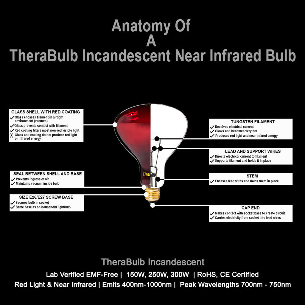 TheraBulb 300W Near Infrared Bulb-240V