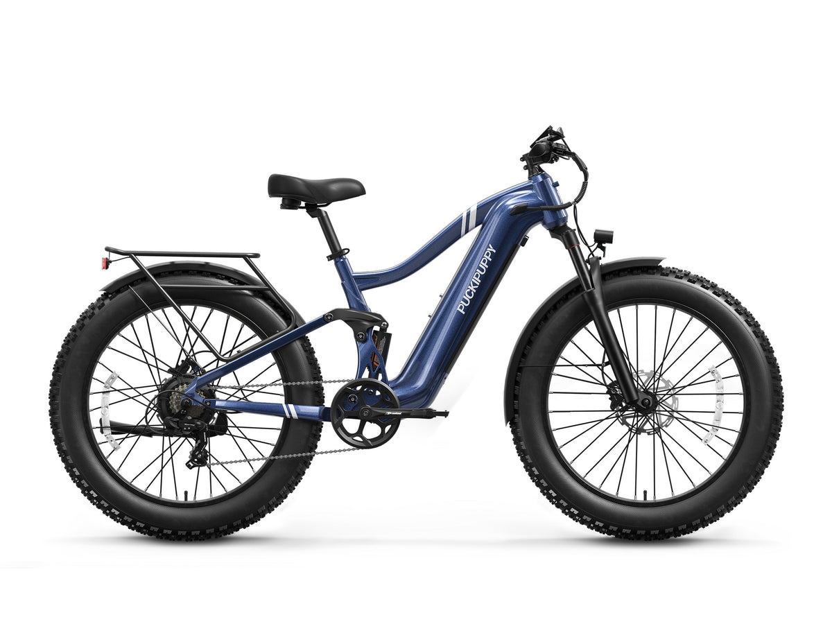 Boxer Ebike