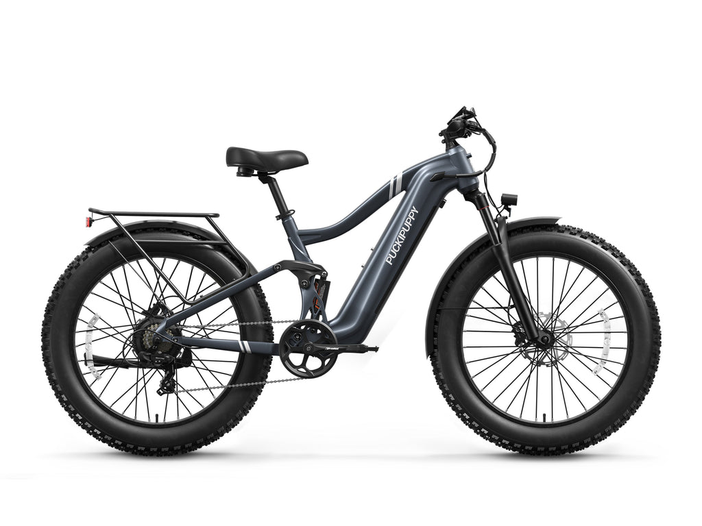Boxer Ebike