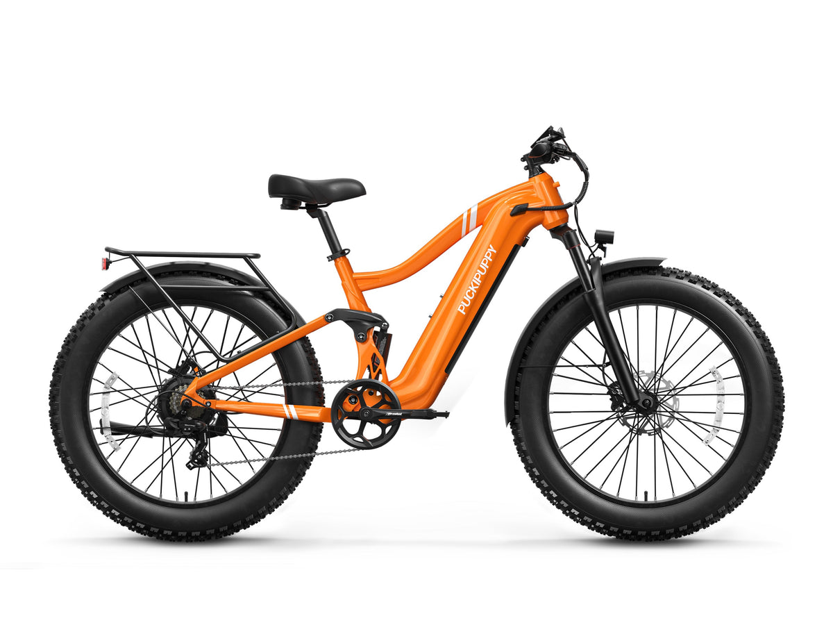 Boxer Ebike