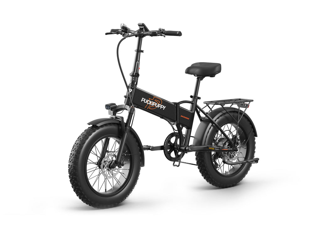 Dachshund Ebike