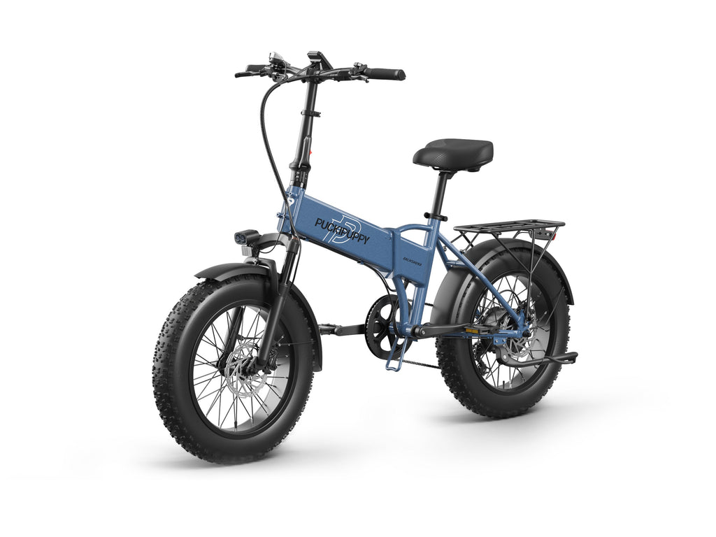 Dachshund Ebike