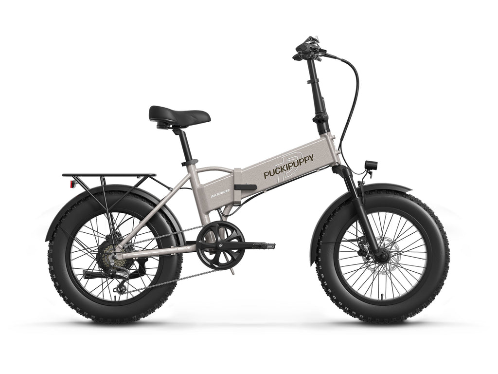 Dachshund Ebike