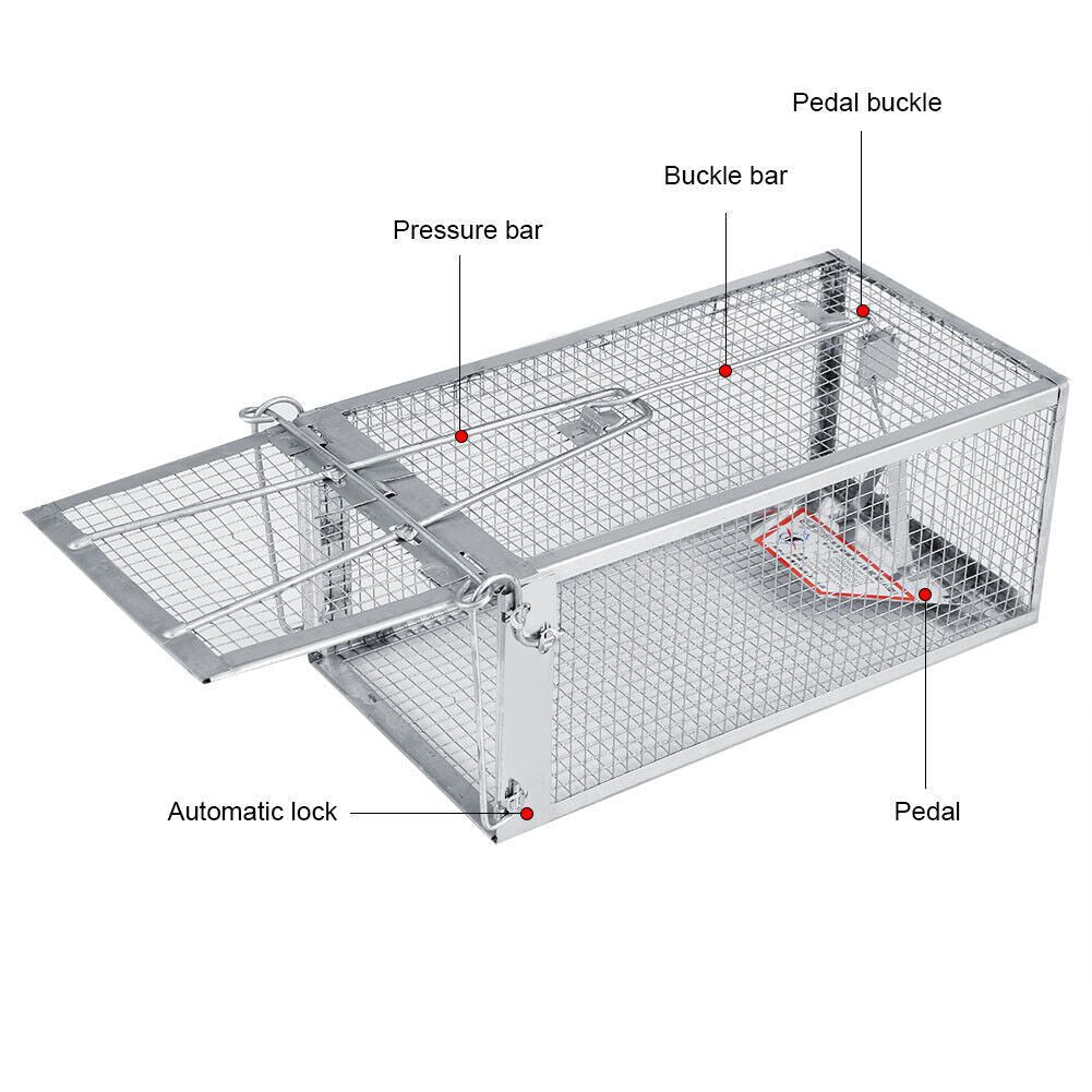 Humane Live Catch Mouse & Rat Trap Cage