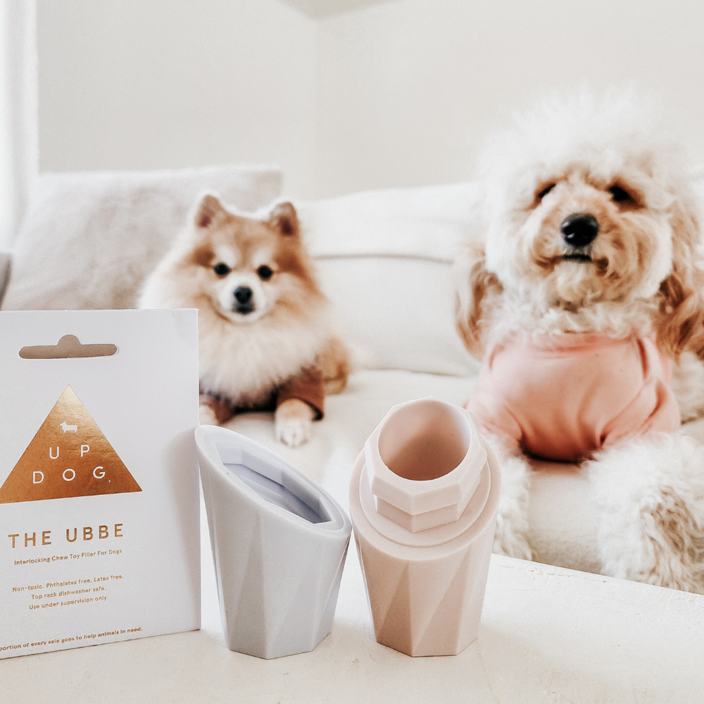 The Ubbe Modern Dog Licking Toy